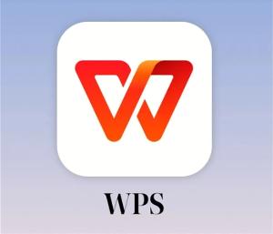 WPS表格1-1怎么设置-WPS表格1-1设置教程
